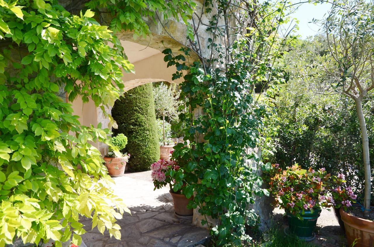 Gite Les Citronniers Vence Exterior foto
